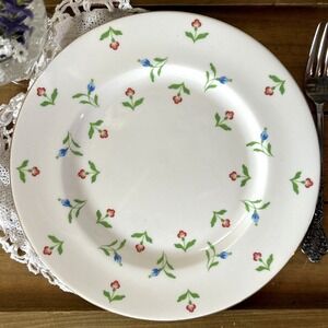 Royal Victoria Fine Bone China 8.25" Salad Plate Floral Made in England
